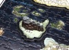 Puzzle 4D Gra o Tron (Game of Thrones) Westeros