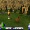 PSP The Sims 2 Pets Essentials