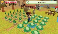 3DS Harvest Moon: The Lost Valley