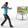 Wii EA Sports Active