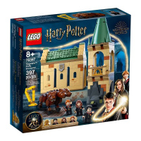 LEGO Harry Potter TM 76387 Hogwart™: spotkanie z Puszkiem